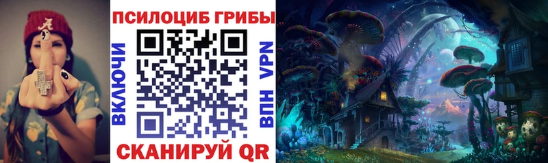 Псилоцибиновые грибы прущие грибы  OMG как зайти  Белая Калитва 