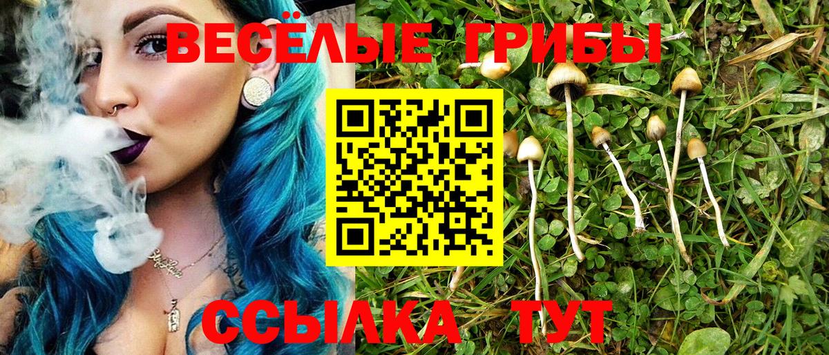 Белая Калитва  Галлюциногенные грибы Magic Shrooms  Вход с VPN 