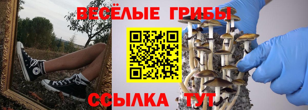 Псилоцибиновые грибы мицелий Белая Калитва